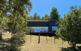Moderna casa en el bosque